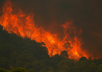 Näin tutkijat arvioivat ilmastojuttujen kuvitusratkaisuja: Tuhon kuvasto jää kaukaiseksi, on tärkeää kuvittaa tunnistettavia arkisia vaikutuksia
