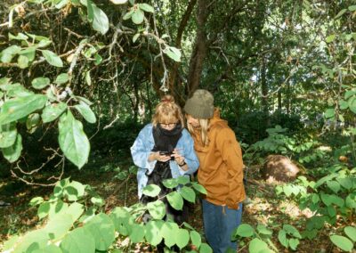 Suomen Luonnolla on Instagramissa enemmän seuraajia kuin kummallakaan iltapäivälehdellä. Toimiva some-läsnäolo lähtee jo suunnitteluvaiheesta, sanovat lehden verkkotuottajat.