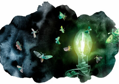 Uutismedian kannattaa miettiä rajattuja kohdeyleisöjä ja pienentää yleisuutisten roolia, sanoo digitaalisten tulojen asiantuntija – Missä määrin sellainen on järkevää?