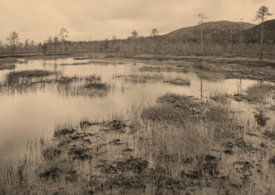 Suomessa ei ole tällä hetkellä merkittävää uhkaa uutiserämaiden syntymiselle, kertoo tuore raportti